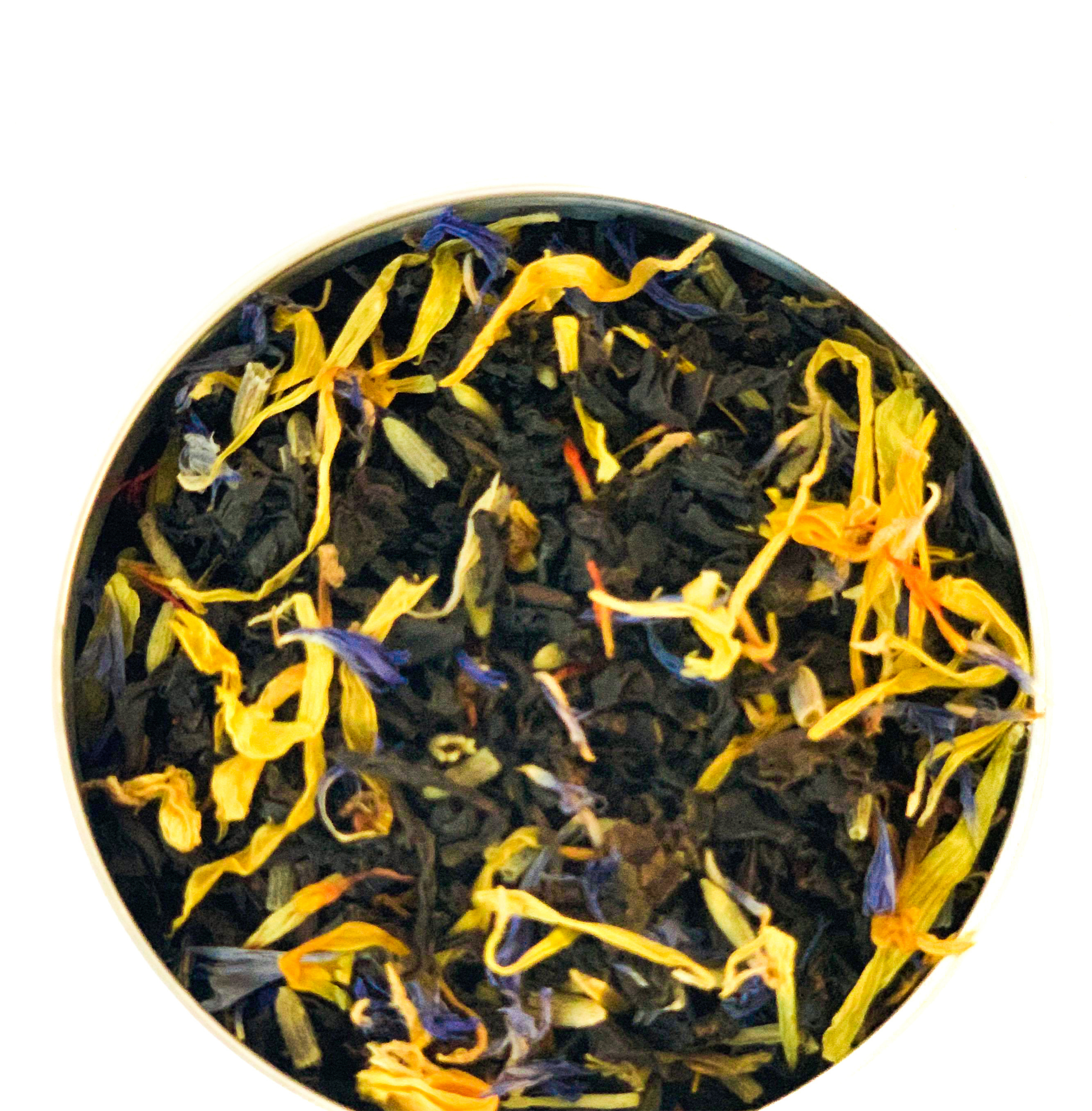 TEAliSe Cosmopolitan